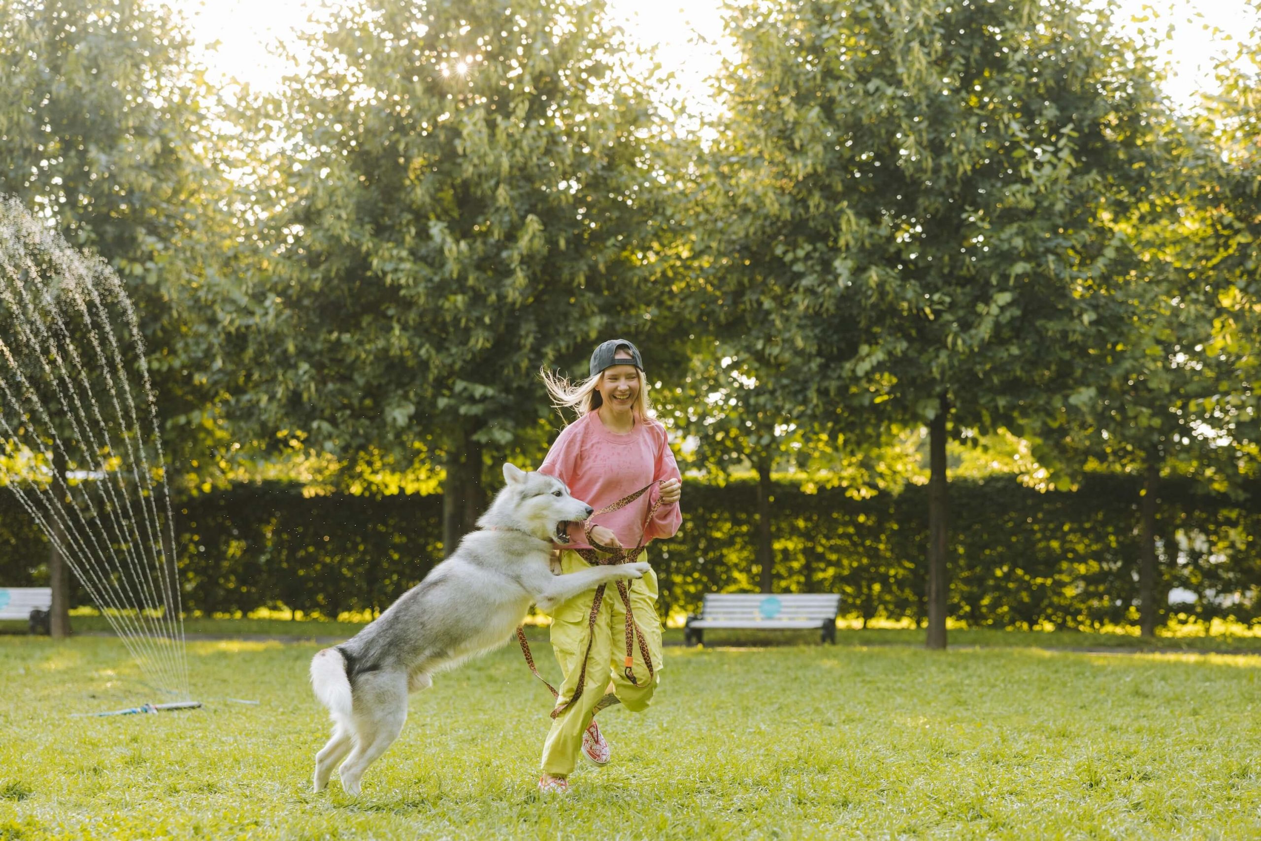Hund und Kind laufen über grünen Rasen