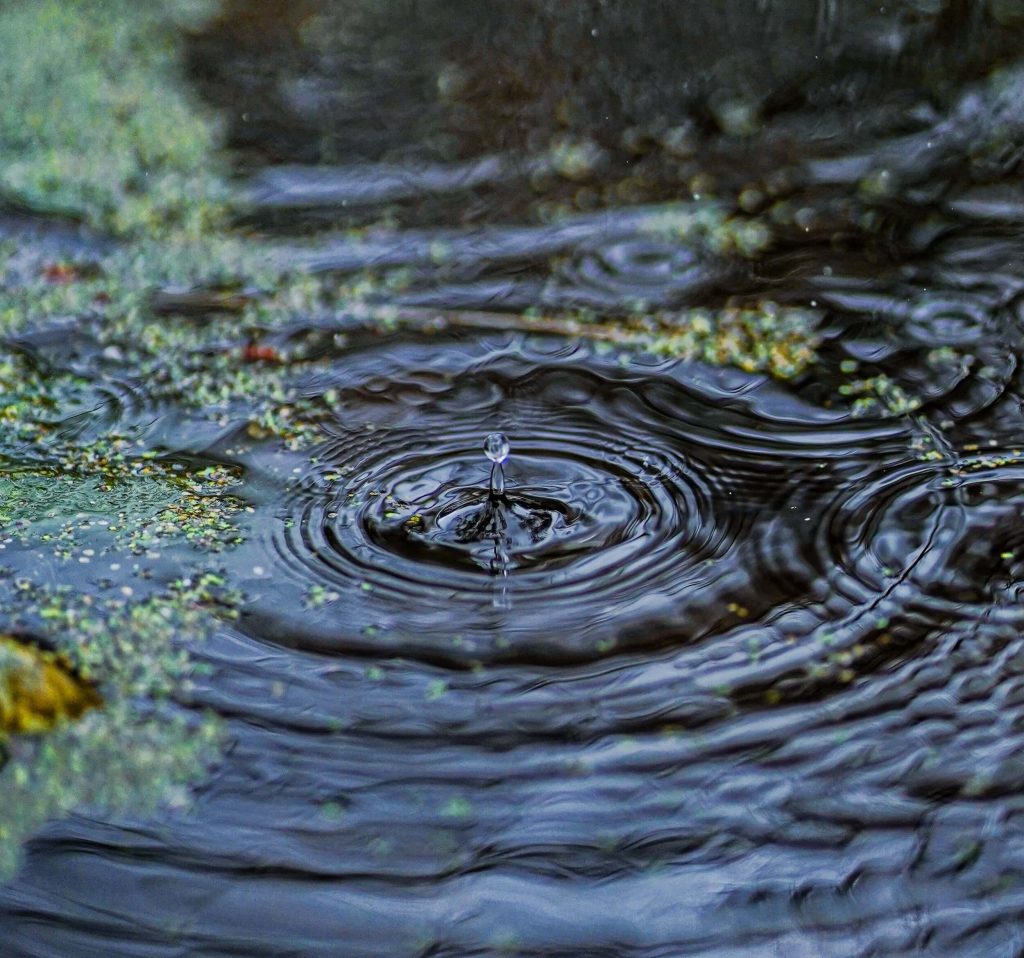 Grundwasserabsenkung